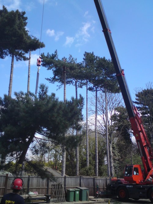 Tri-State Land Clearing machine